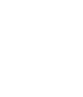 A25 Cars lion emblem